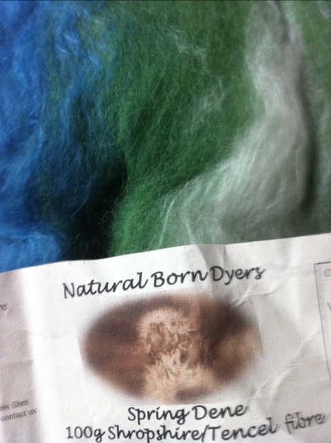 Shropshire/Tencel blend fibre from Natural Born Dyers